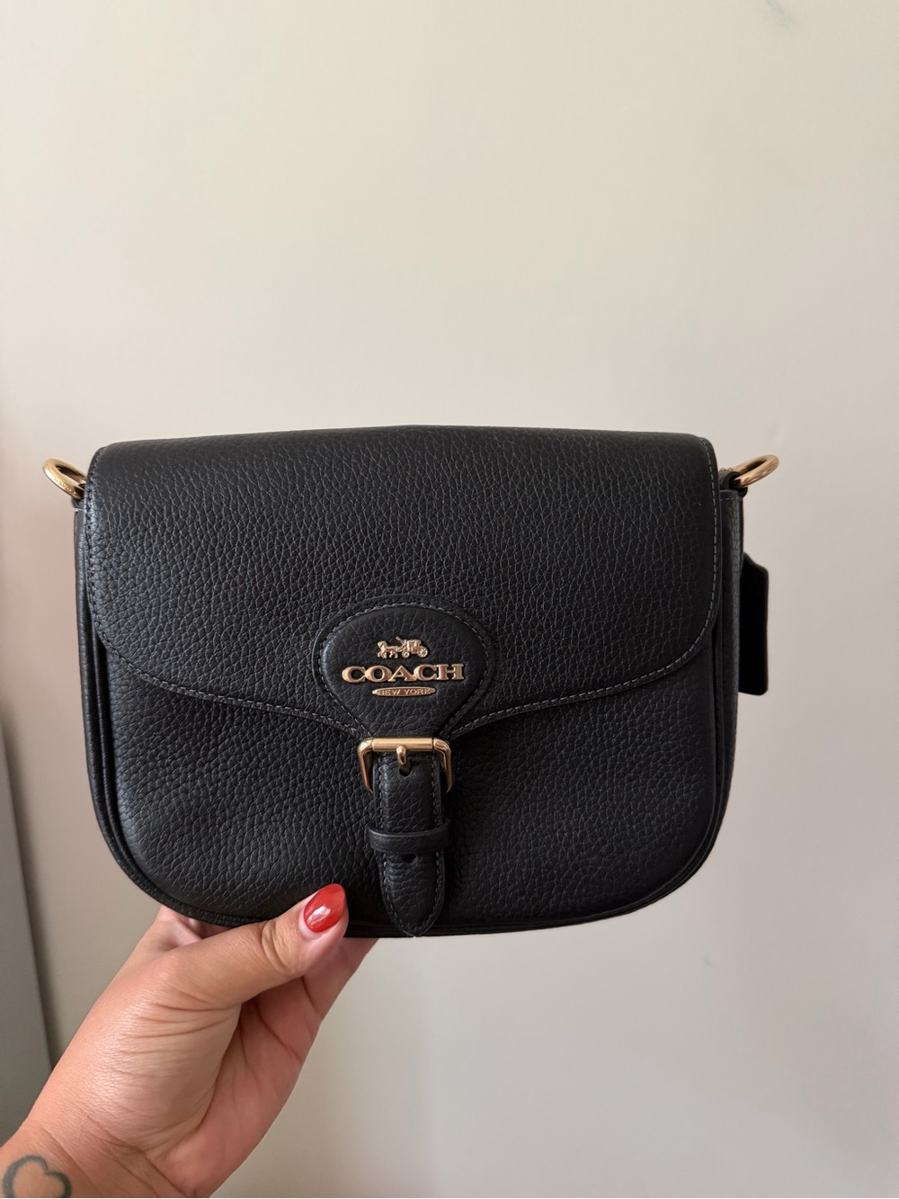 Coach Amelia Saddle Bag